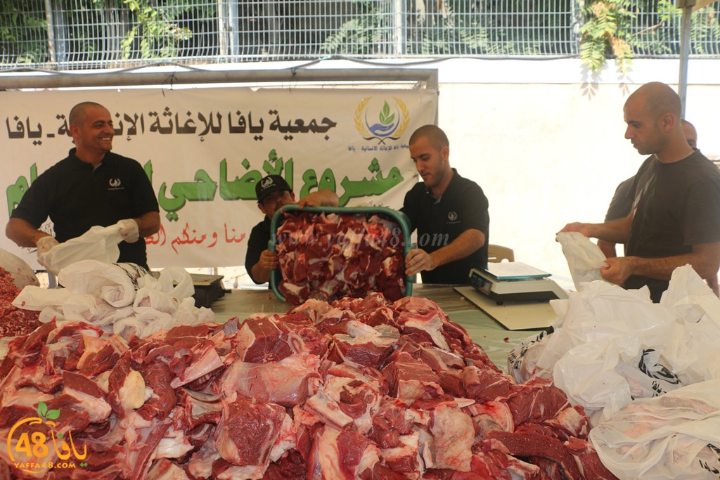 ada7y forthei (107).JPG